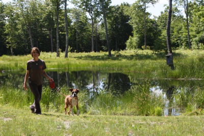 Puddle Boarding Kennel | Belfast, Maine | Morrill, Maine