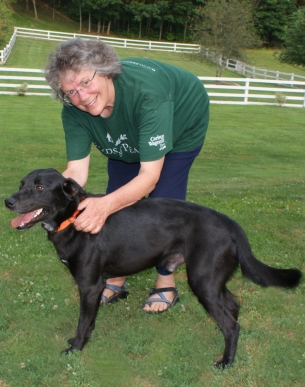 Puddleduck Boarding Kennel